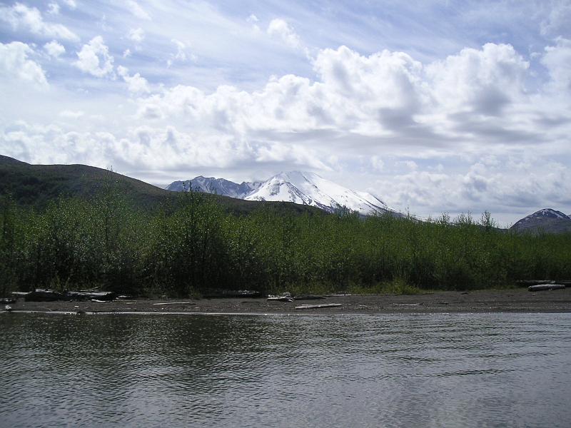 Mount St.Helens (26).JPG